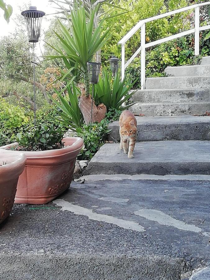 U Castiddanu Breathtaking View Apartment Taormina Exterior photo